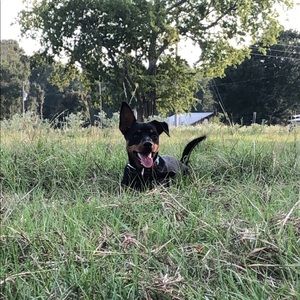 Meet your Posher, Madison